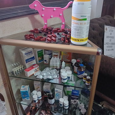 Comercializamos alimento y medicamentos para diferentes especies.Productos importados calidad premium,marcas reconocidas - Img 126496312