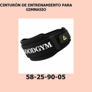 CINTURÓN DE ENTRENAMIENTO PARA GIMNASIO - Img 55728812
