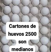 Buenos huevos y jabas de nilón - Img 45894856