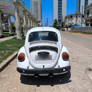 Vw escarabajo - Img 127947026