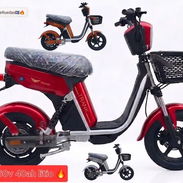 *BICIMOTO _TRANK_*. 1400 - Img 55181759