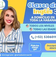 CLASES DE INGLÉS PERSONALIZADAS A DOMICILIO EN TODA LA HABANA. 53060116 - Img 49160973