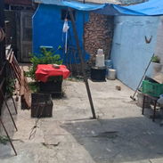 Se vende casa en cojimar - Img 56062612