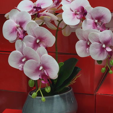 🌺Hermosas orquídeas decorativas.$8 usd ✅25 cm de altura y de 40 cm $22 usd - 6/6