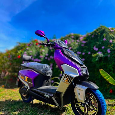 Moto eléctrica - 3/3