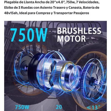 Bici triciclo electrico para adultos - 8/8