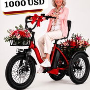 Bici Eskute de tres ruedas: Modelo:T300plus - Img 56201573