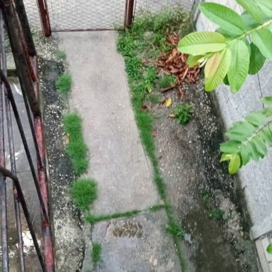 Se vende apartamento de 3 cuartos - 7/10