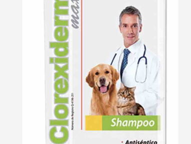 Jabones y shampoo Medicados para perros y gatos. Miconazol/Clotrimazol/Clorhexidina/Ketoconazol - Img 62163934