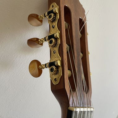 Guitarra clásica - Img 121273566