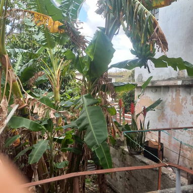 87-🏡*EN VENTA BIPLANTA  GUABABACOA RPTO NARANJO*  😎*LA PARTE DE ABAJO CONSTA DE:*  PORTAL  SALA 2/4  1 GRANDE Y OTRO C - Img 120003758