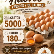 Huevos - Img 57246533
