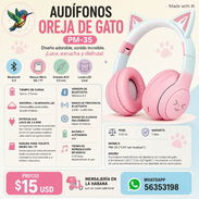 AUDIFONOS ESTILO OREJA DE GATO RGB PM-35 - Img 57926244