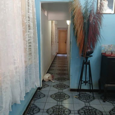 Venta o permuta de casa en Playa con 4 habitaciones ideal para dos familias de 3 niveles. - Img 123409175