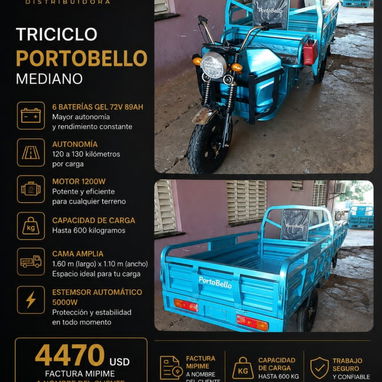 Venta de triciclos - 6/9