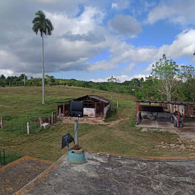 Se vende finca en Bejucal 🌴 - Img 125764294