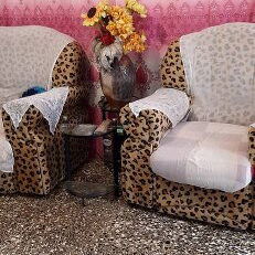 Casa en oferta - Img 117415724