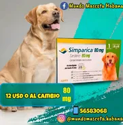 Simpárica de 20 a 40 kg - Img 49788510