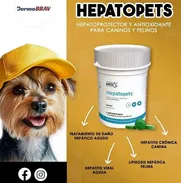 HEPATOPETS (protector hepático) - Img 50272690