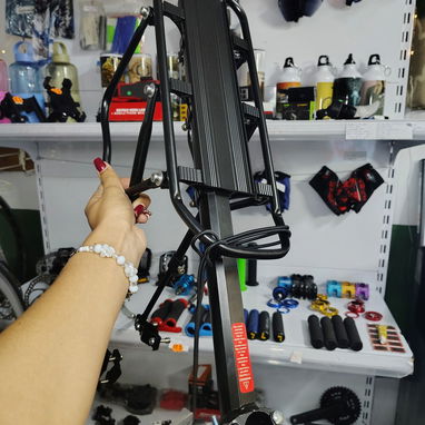 Trailer d bicicleta y moto,Trailer para pasear 2 niños ,Bici y carriola electrica Parrillas Luces intermitentes. - Img 120283338