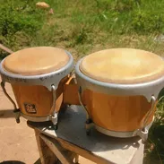 Bongos originales y en perfecto estado - Img 55779840