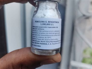 Penicilina y Ketoconazol  Amoxicilina - Img 45213742