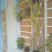 Vendo apartamento en playa. 31 y 56 - Img 55973205