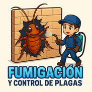 Fumigación y control de plaga - Img 57555223