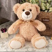 Oso de peluche - Img 57724826