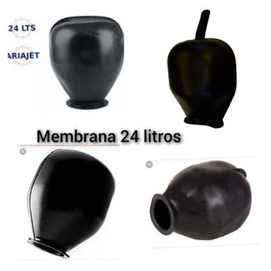 Ladrón de agua, kiwan, presurizadores, membranas , hidroneumaticos,latiguillos calentador presostato piscina - Img 111527852