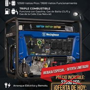 ❗️Rebajas❗️ Plantas de gasolina y gas de varios modelos y de las mejores marcas - Img 55787722