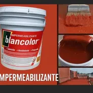 IMPERMEABLE PARA TECHOS ANTIGOTERAS TRANSITABLE DE GAMA ALTA NACIONALIDAD ESPAÑOLA - Img 55557922