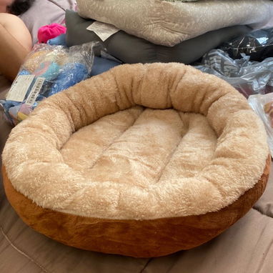 Camas para perros - Img 125252788