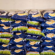 Arroz - Img 56612529
