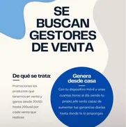 Gestor de venta - Img 50117999