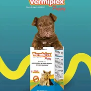 VermiPlex Puppy (antiparasitario interno en suspensión oral) - Img 50821953