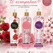 COLONIA CLASICA MAJA 240 ML - Img 58065438