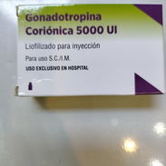 Gonadotropina Coriónica 5000UI - Img 57507827