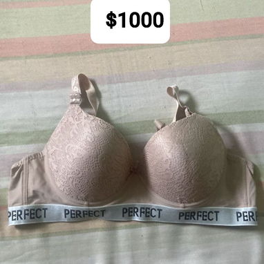Ropa - Img 125218218
