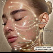 Drenaje linfático manual un camino hacía la estética de tu piel y la salud de tu cuerpo - Img 57062575