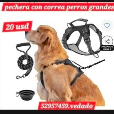 52957459 Pechera con correa perros grandes...20usd Collar de entrenamiento  bozal-- - 4/4