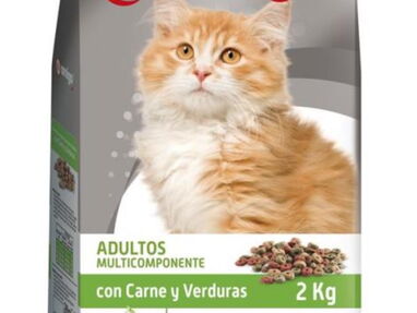 Comida para gatos y perros , pienso seco ,gourmet de alta calidad y rica en vitamina , comida húmeda, pares - Img 65758714