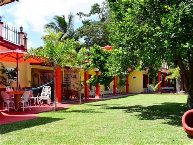 Hostales y casas de alquiler en Viñales!! Disfruta tus vacaciones en Cuba - Img 65603299