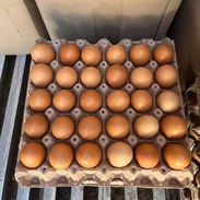 Cajas de huevos - Img 55881484