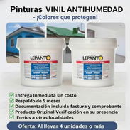 Pintura vinil 54703213 - Img 54195960