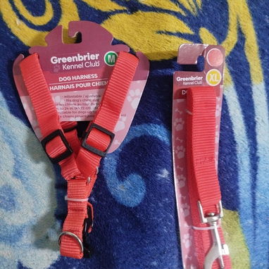 Pecheras y correas para perros y gatos - Img 125212932