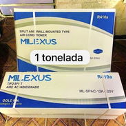 Esplit milexus - Img 56042221