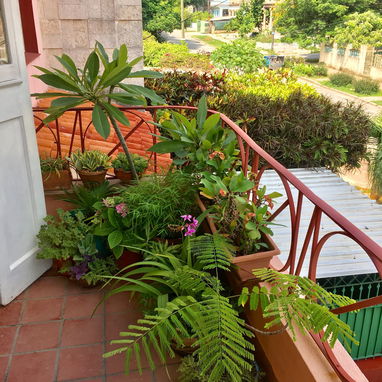 Renta lineal de apartamento en el Vedado - Img 109447203