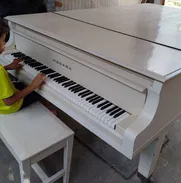Piano gran cola - Img 49243023