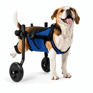 Silla de ruedas para Mascotas / DogLemi Talla M - Img 57023606